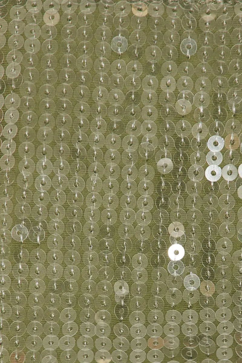 Tropic of C Sequin Praia Bikini Bottom | Thumbnail 5 Tropic of C Sequin Praia Bikini Bottom | Thumbnail 5