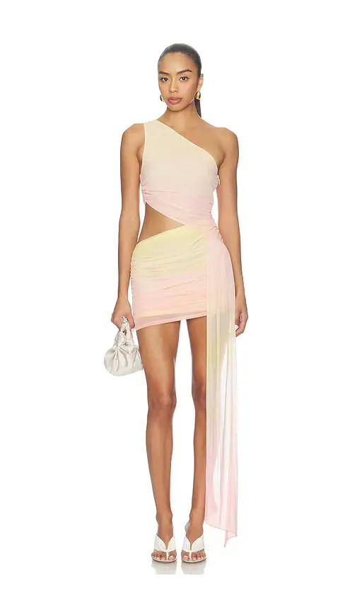 Lovers and Friends Viola Mini Dress | Image 1 Lovers and Friends Viola Mini Dress | Image 1
