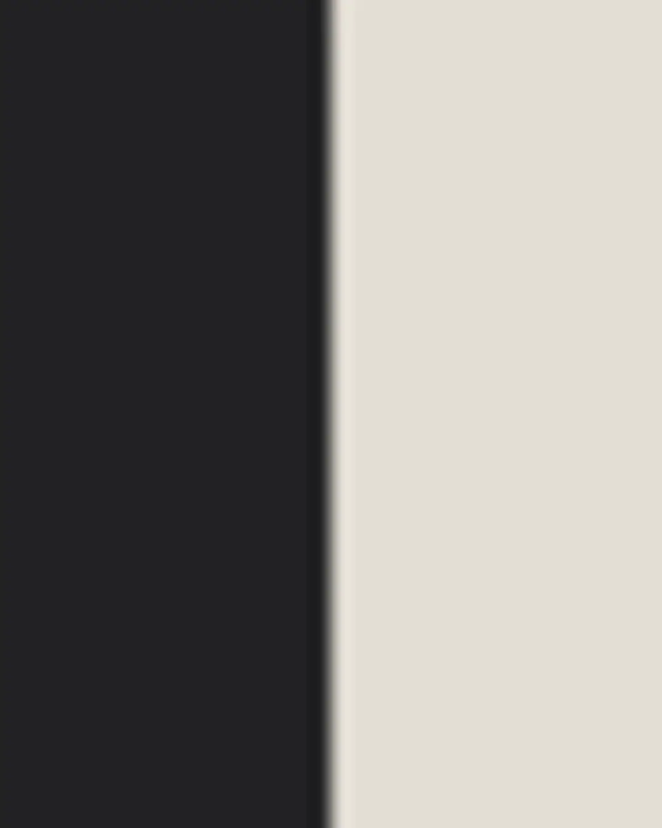 MacKenzie-Childs Courtly Check Dinner Plate | Thumbnail 3 MacKenzie-Childs Courtly Check Dinner Plate | Thumbnail 3