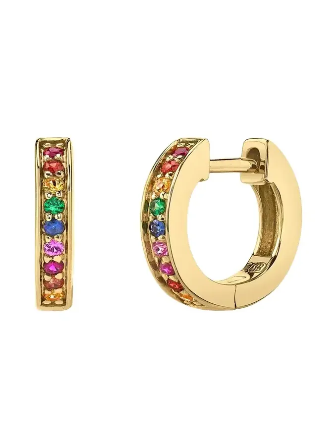 Sydney Evan 14k Gold Rainbow Sapphire Huggie Hoop Earrings