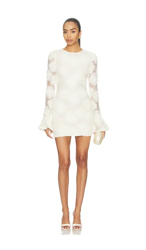 Flower Mesh Mini Dress Flower Mesh Mini Dress