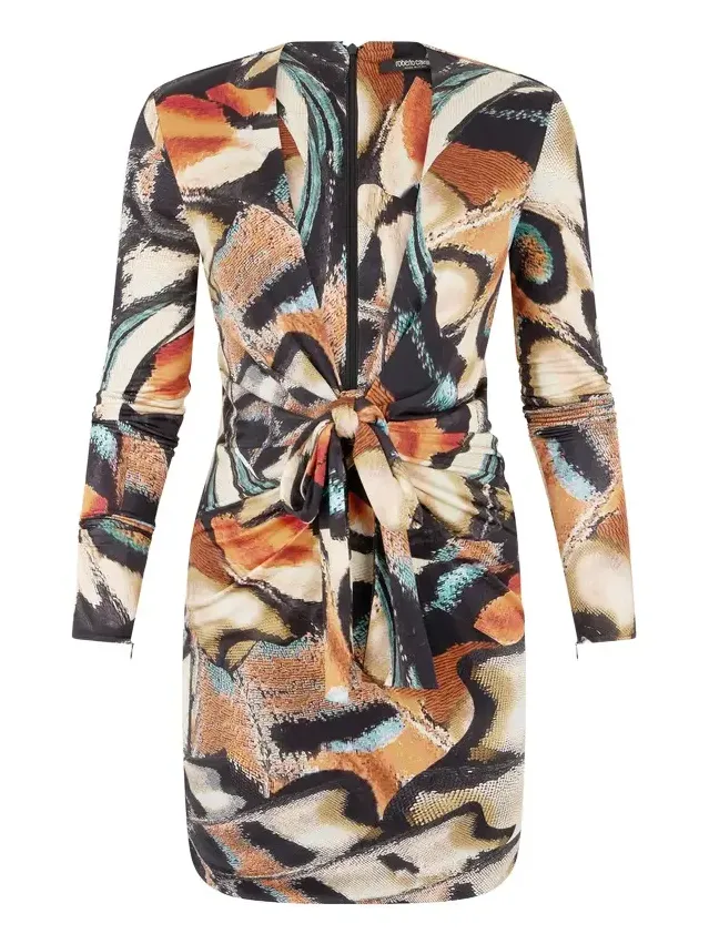 Roberto Cavalli Butterfly Print Mini Dress