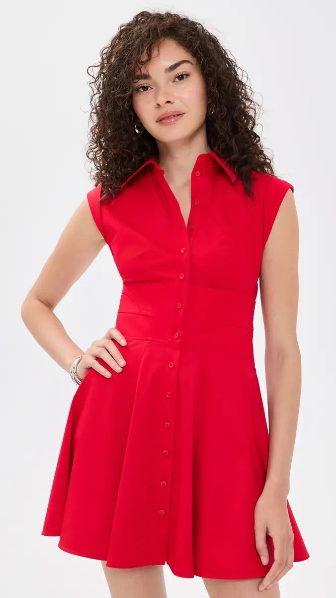Alice + Olivia Kim Paneled Corset Flared Mini Shirt Dress | Thumbnail 2 Alice + Olivia Kim Paneled Corset Flared Mini Shirt Dress | Thumbnail 2