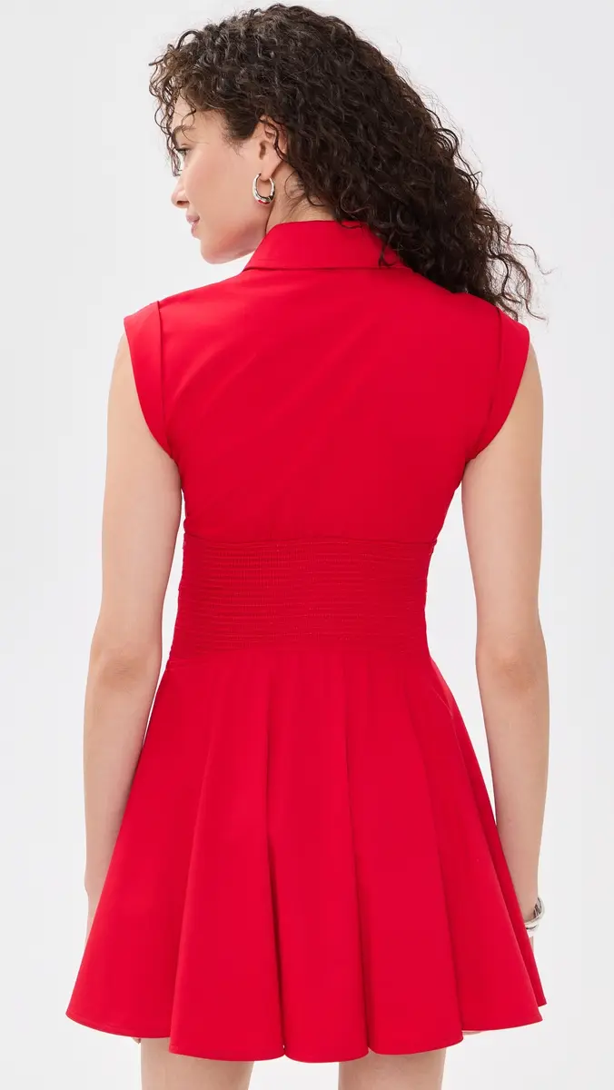Alice + Olivia Kim Paneled Corset Flared Mini Shirt Dress | Thumbnail 3 Alice + Olivia Kim Paneled Corset Flared Mini Shirt Dress | Thumbnail 3