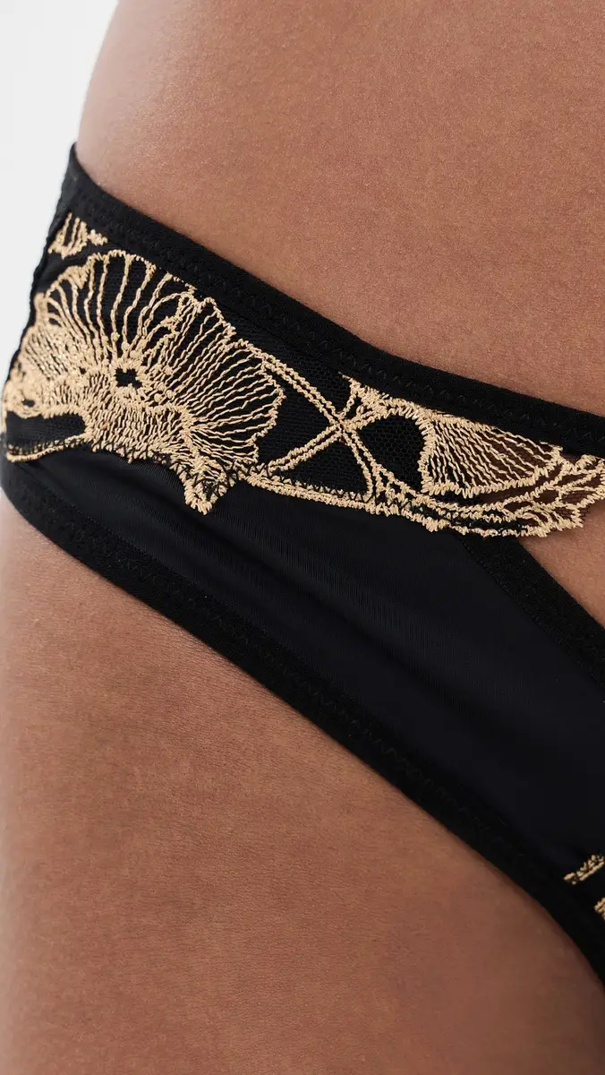 Thistle and Spire Demeter Bikini Panties | Thumbnail 5