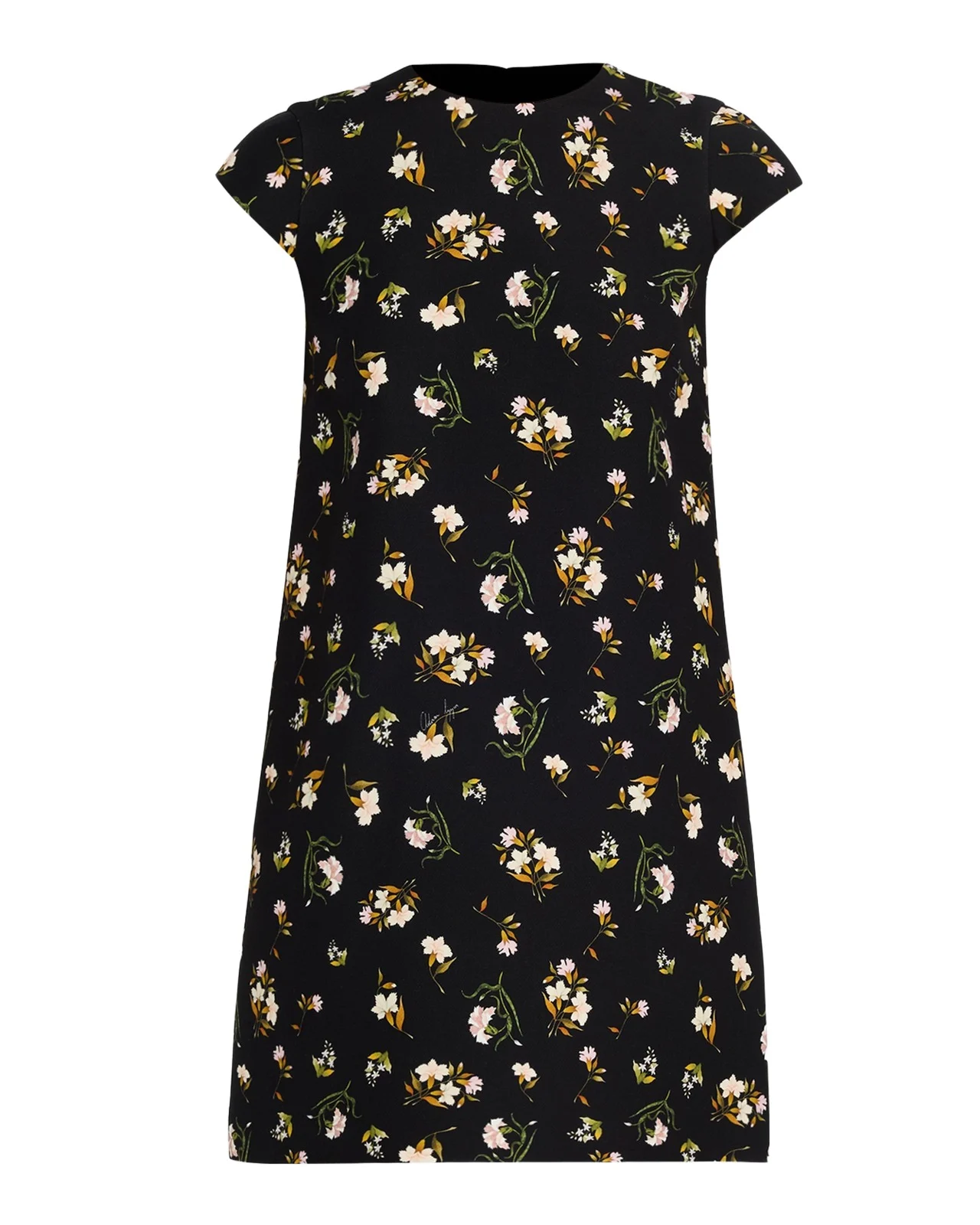 Izzy Floral-Print Cap-Sleeve Mini Dress Izzy Floral-Print Cap-Sleeve Mini Dress