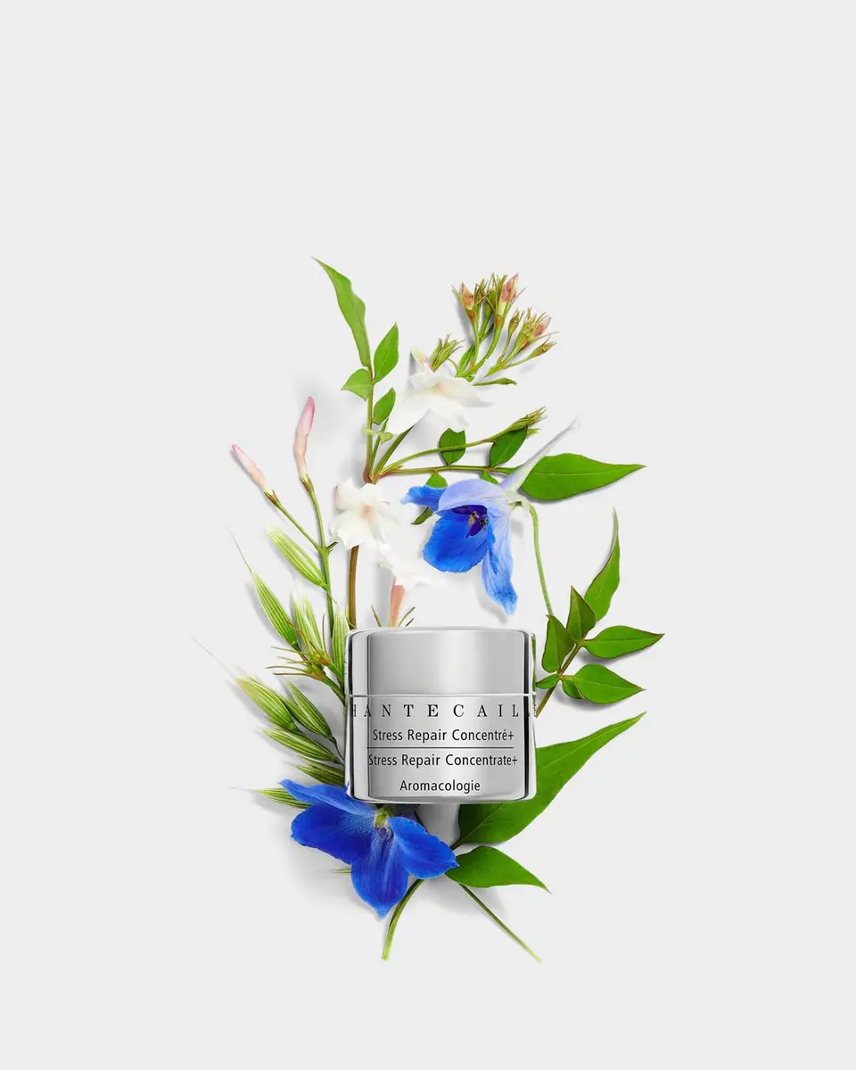 CHANTECAILLE Stress Repair Concentrate+, 0.5 oz. | Thumbnail 4 CHANTECAILLE Stress Repair Concentrate+, 0.5 oz. | Thumbnail 4