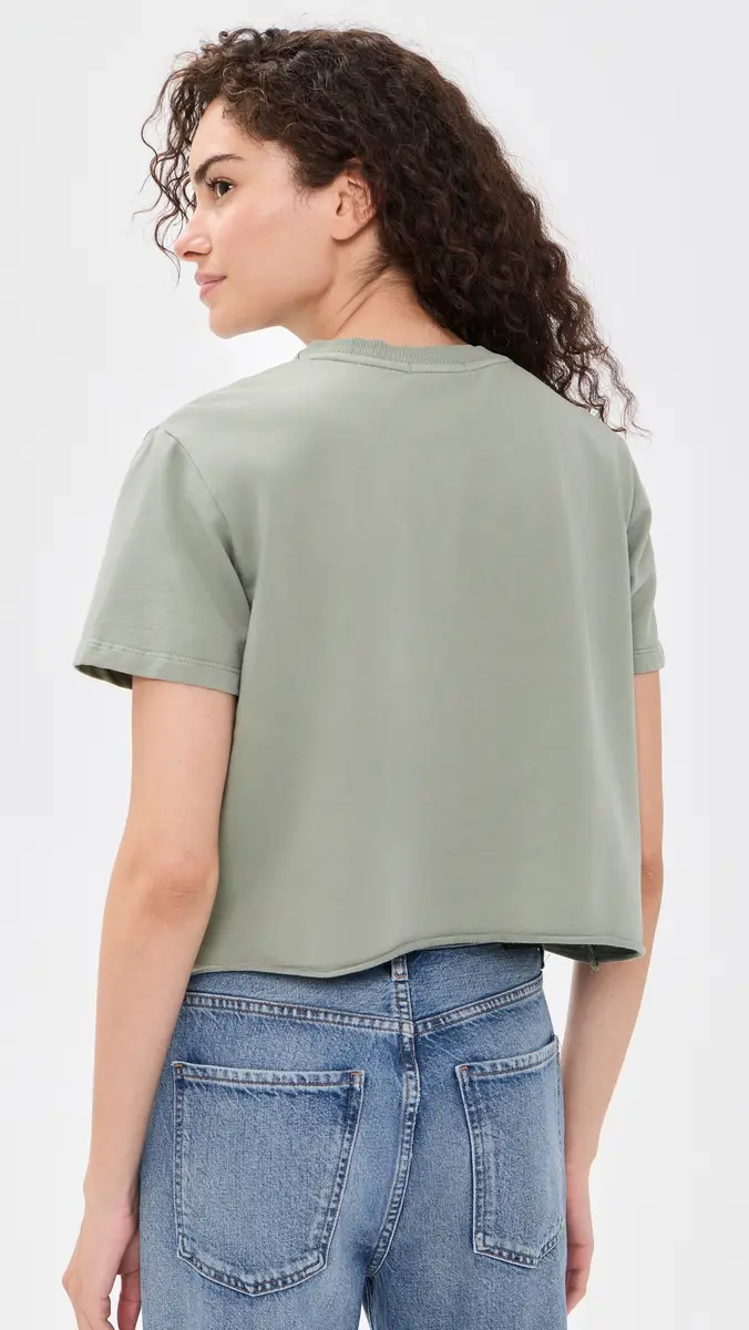 Splendid Palmer Terry Short Sleeve Tee Eucalyptus | Thumbnail 3