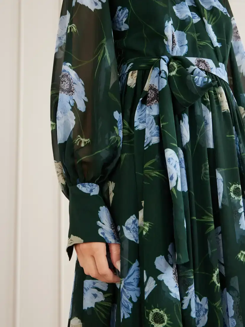 Erdem Floral-printed Silk-voile Gown | Thumbnail 4