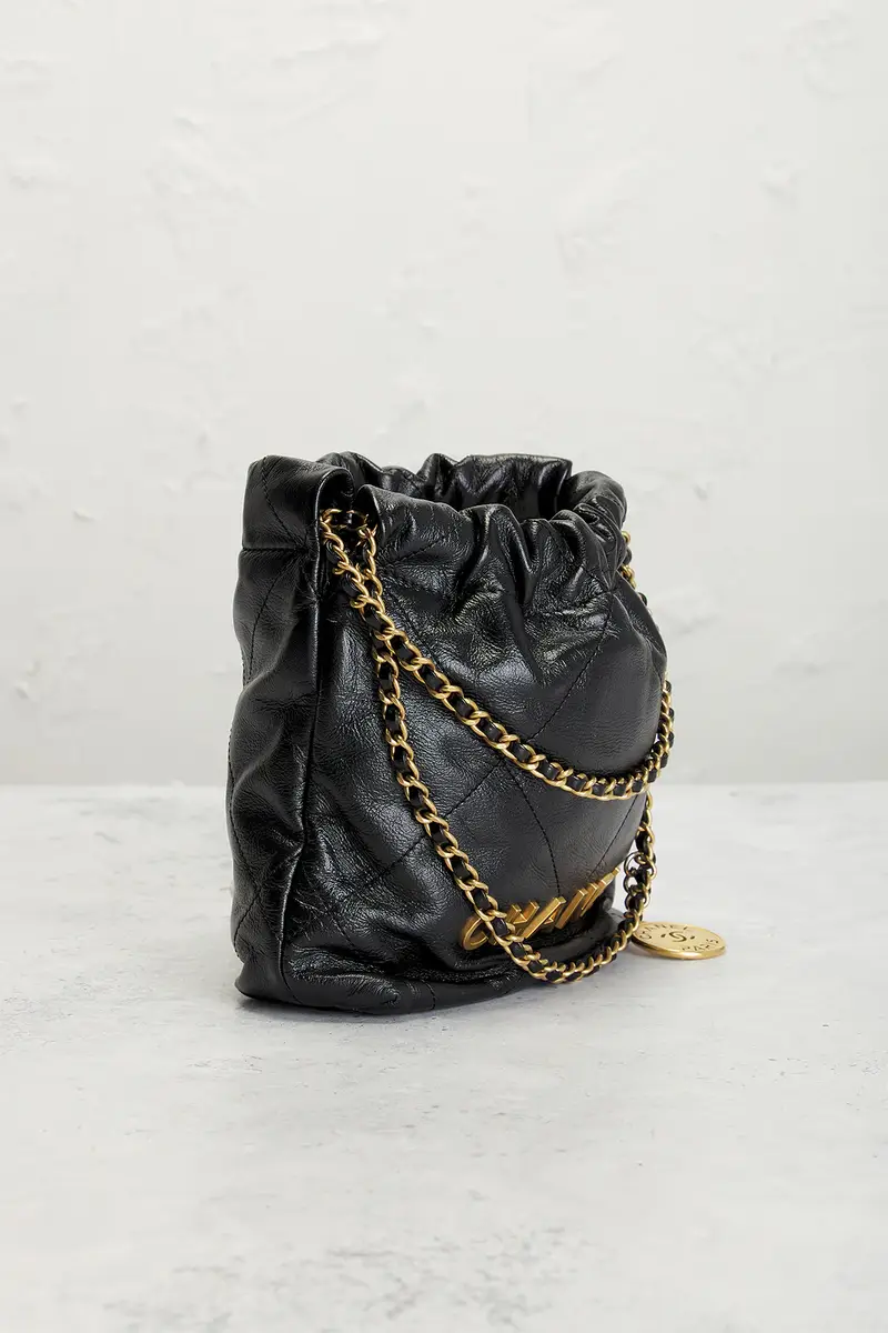Chanel Chanel Shiny Calfskin Mini 22 Hobo Bag | Thumbnail 4