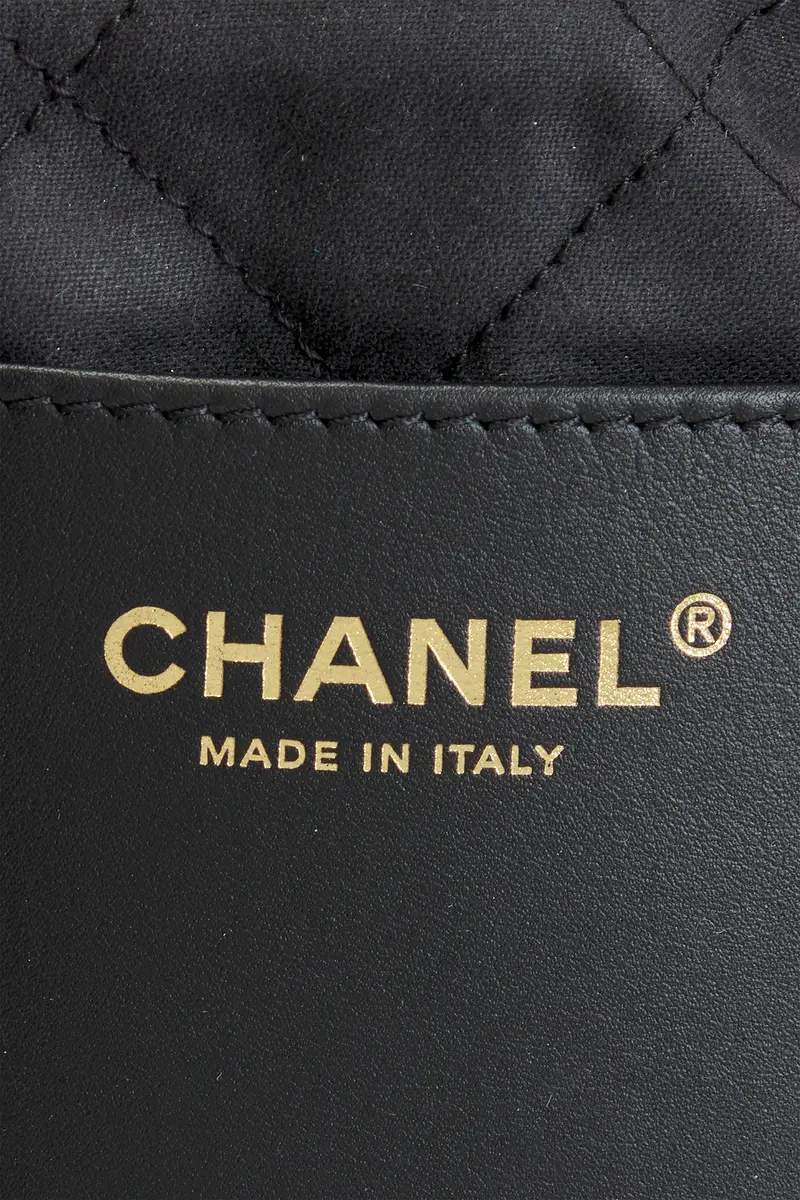 Chanel Chanel Shiny Calfskin Mini 22 Hobo Bag | Thumbnail 5