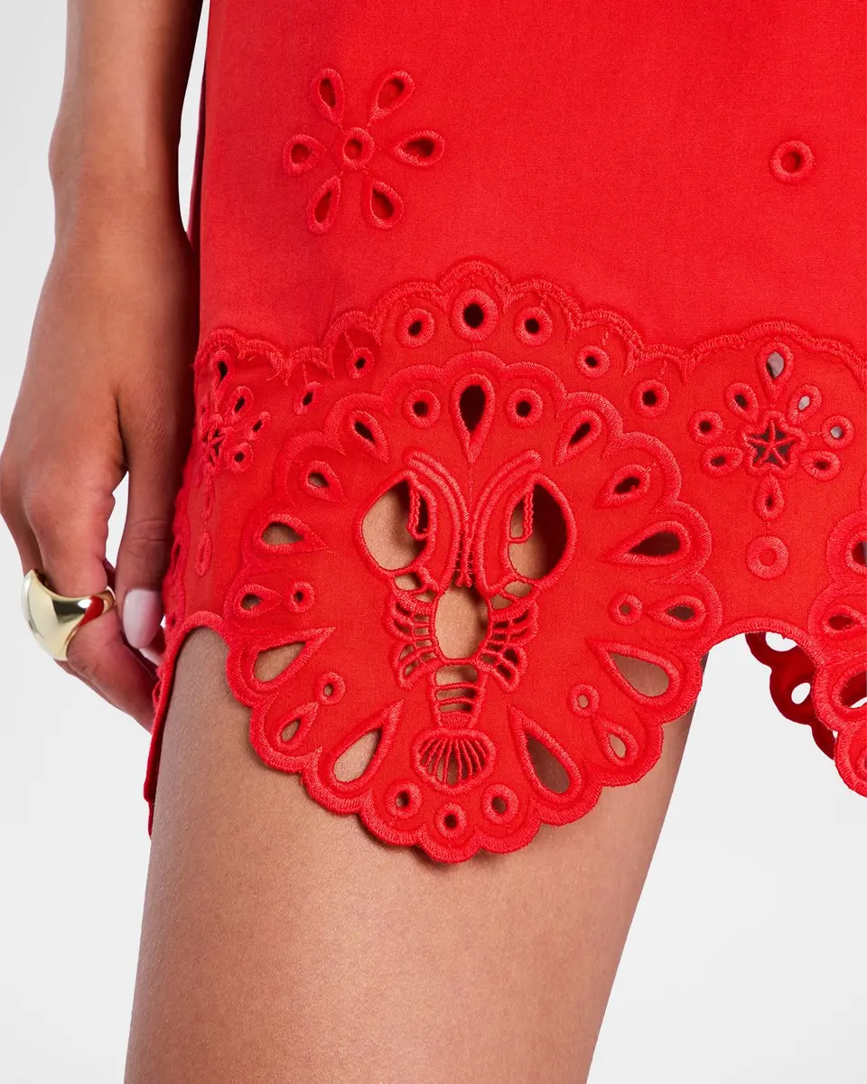 Retrofête Nebullah Embroidered Mini Dress | Thumbnail 5 Retrofête Nebullah Embroidered Mini Dress | Thumbnail 5
