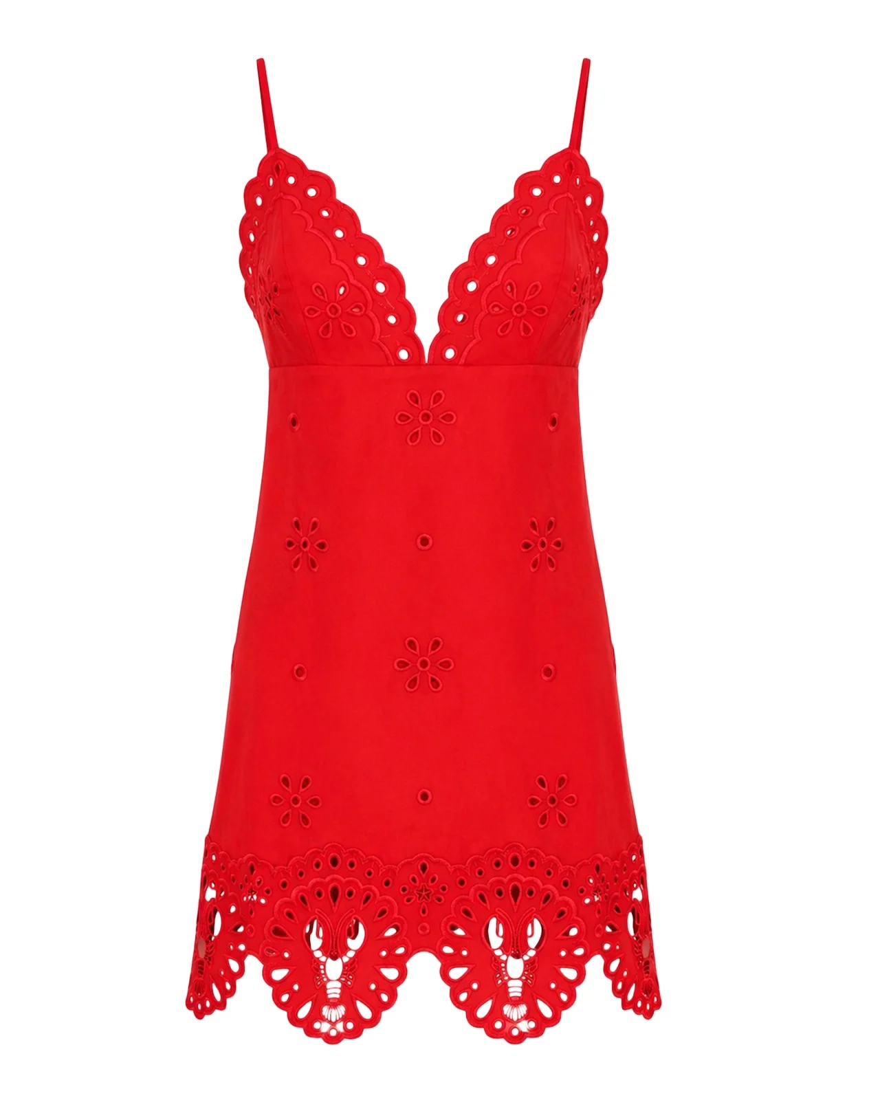 Nebullah Embroidered Mini Dress