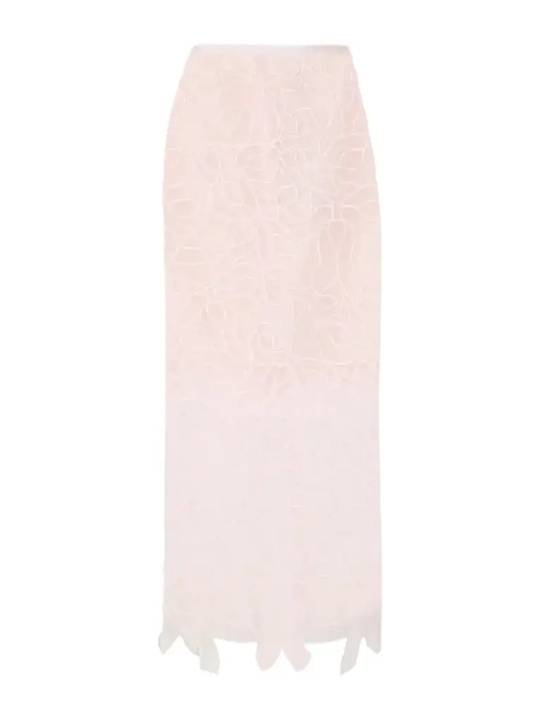 Cecilie Bahnsen Cbgus Embroidered Organza Maxi Skirt | Image 1 Cecilie Bahnsen Cbgus Embroidered Organza Maxi Skirt | Image 1