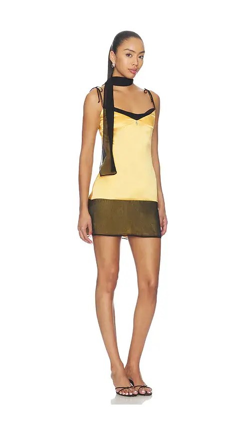BUCI Chinchilla Mini Dress | Thumbnail 3