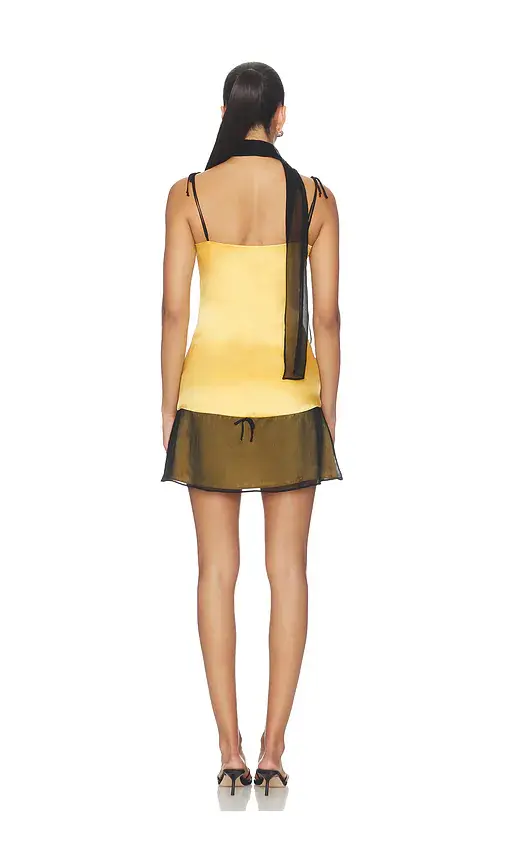 BUCI Chinchilla Mini Dress | Thumbnail 4