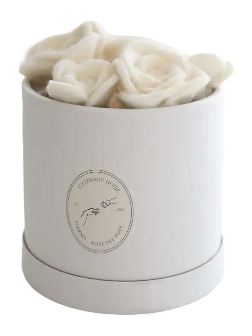 Catenary Home Flora Eterna Pet Toy Box