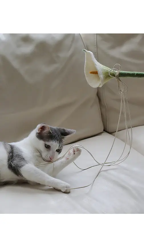 Catenary Home Flora Cat Wand Toy | Thumbnail 2