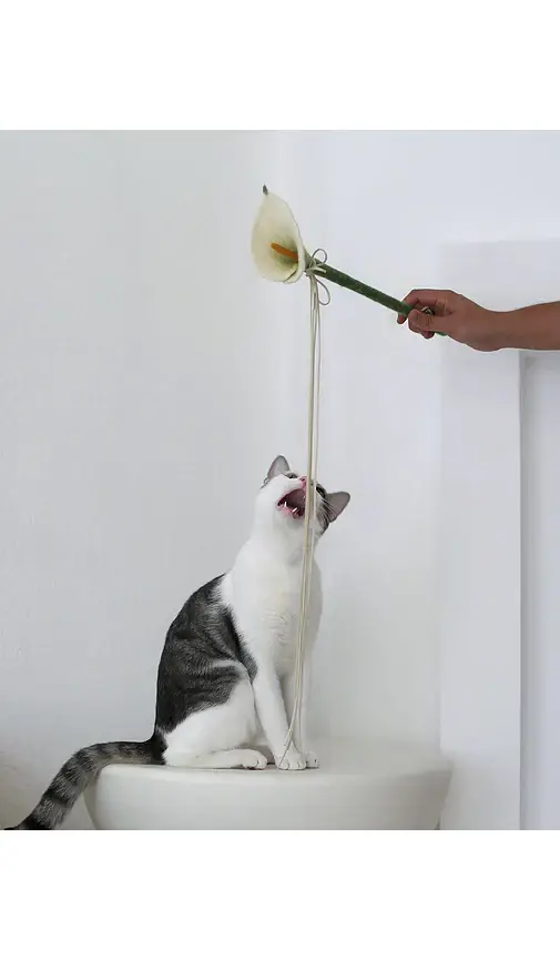 Catenary Home Flora Cat Wand Toy | Thumbnail 3