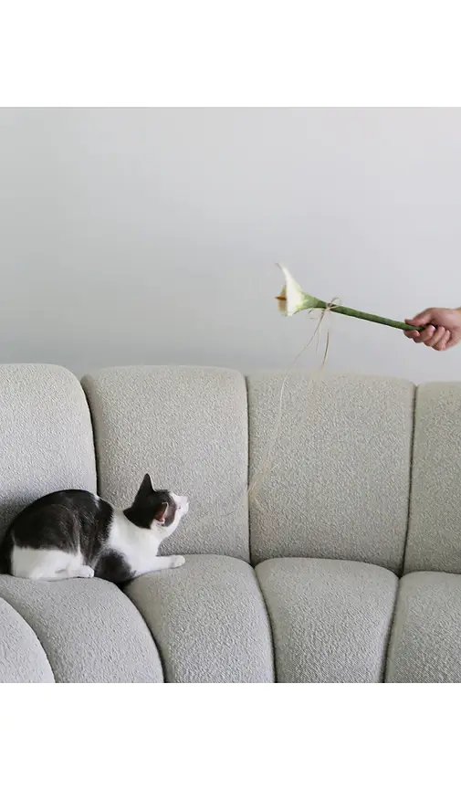 Catenary Home Flora Cat Wand Toy | Thumbnail 5