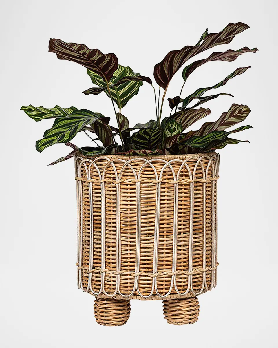 Juliska Provence Rattan 8" Round Planter | Thumbnail 2 Juliska Provence Rattan 8" Round Planter | Thumbnail 2