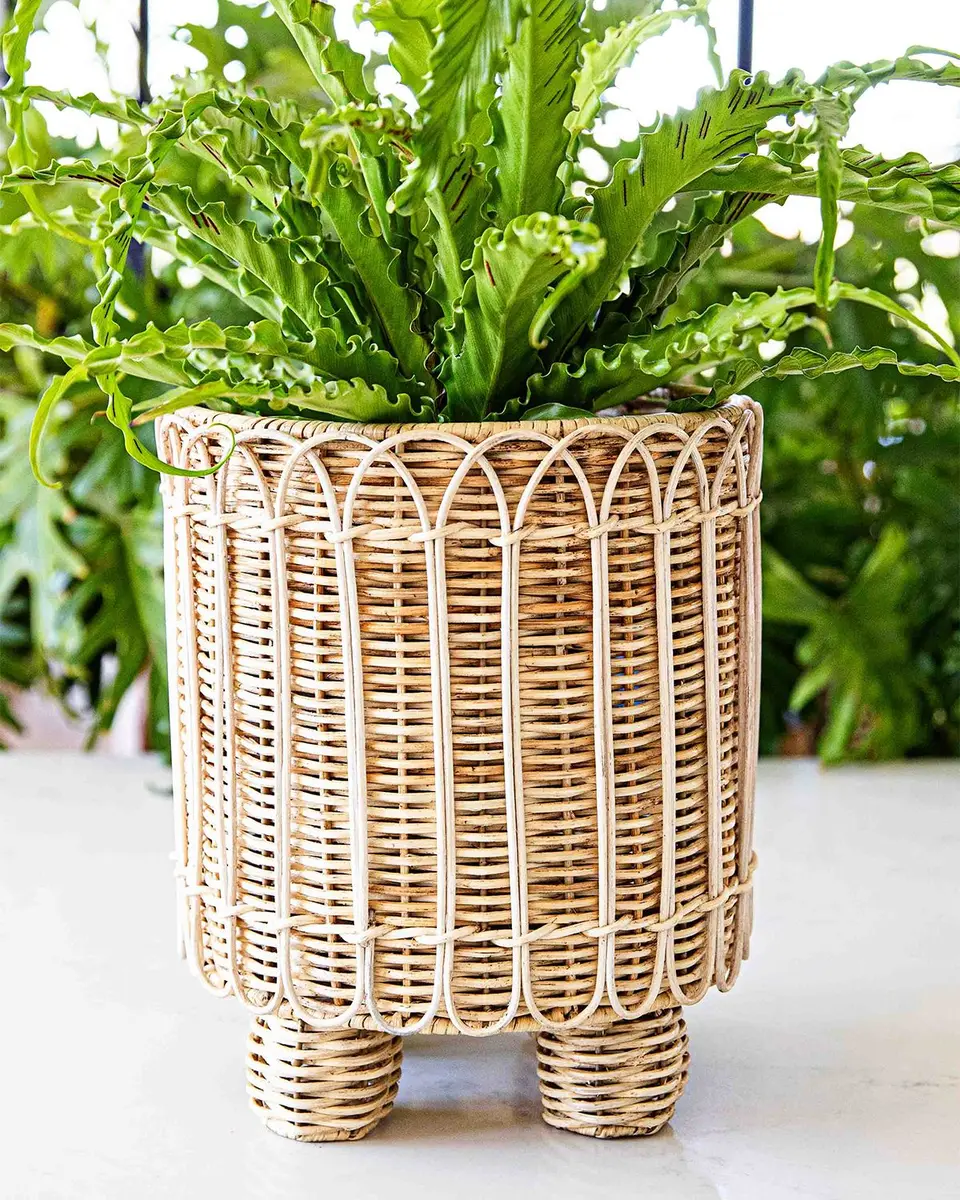 Juliska Provence Rattan 8" Round Planter | Thumbnail 4 Juliska Provence Rattan 8" Round Planter | Thumbnail 4