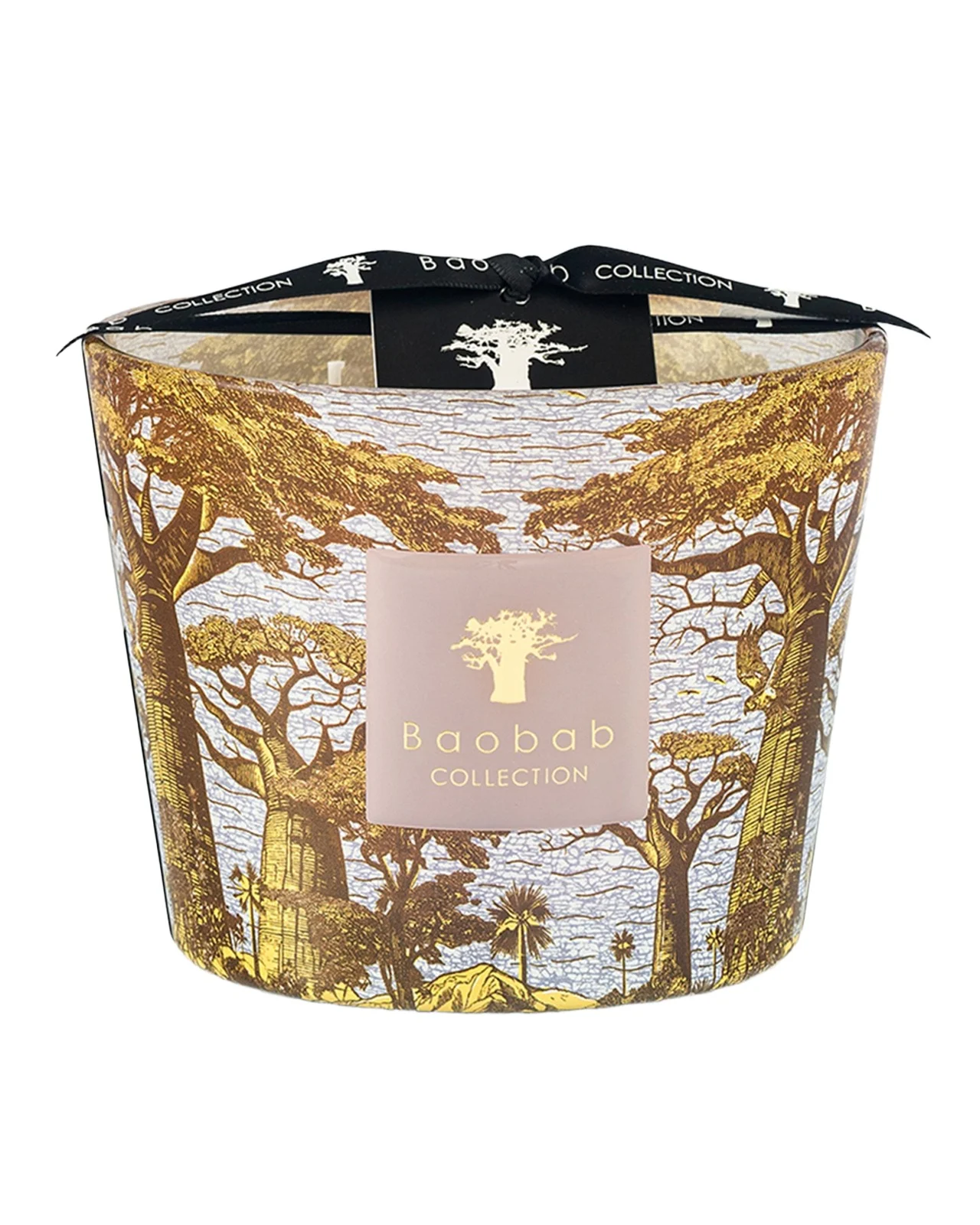 BAOBAB COLLECTION Sacred Trees Bounkani 4-Wick Max 10 Candle, 1.3 kg