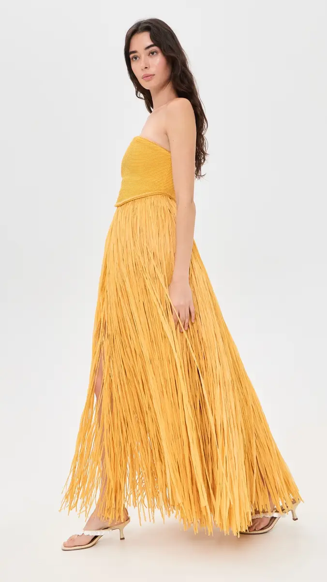 Aje Florentia Raffia Maxi Dress | Thumbnail 5 Aje Florentia Raffia Maxi Dress | Thumbnail 5