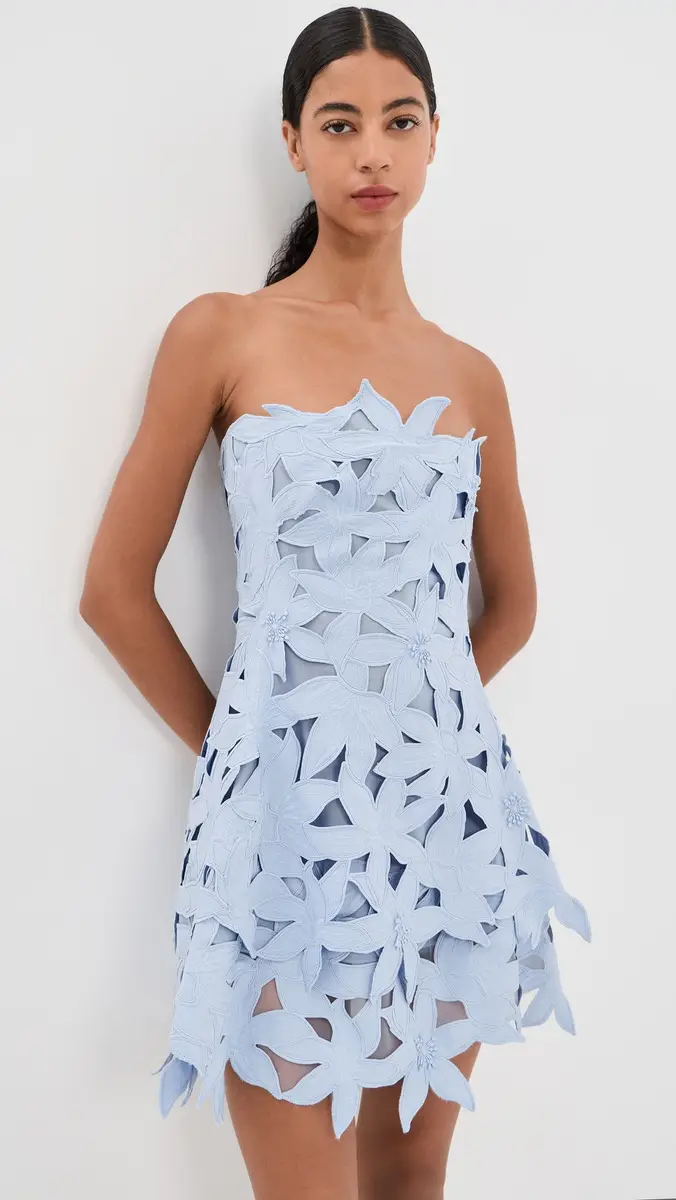 Simkhai Miri Bustier Mini Dress | Thumbnail 2 Simkhai Miri Bustier Mini Dress | Thumbnail 2