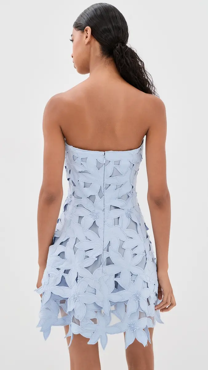 Simkhai Miri Bustier Mini Dress | Thumbnail 3 Simkhai Miri Bustier Mini Dress | Thumbnail 3