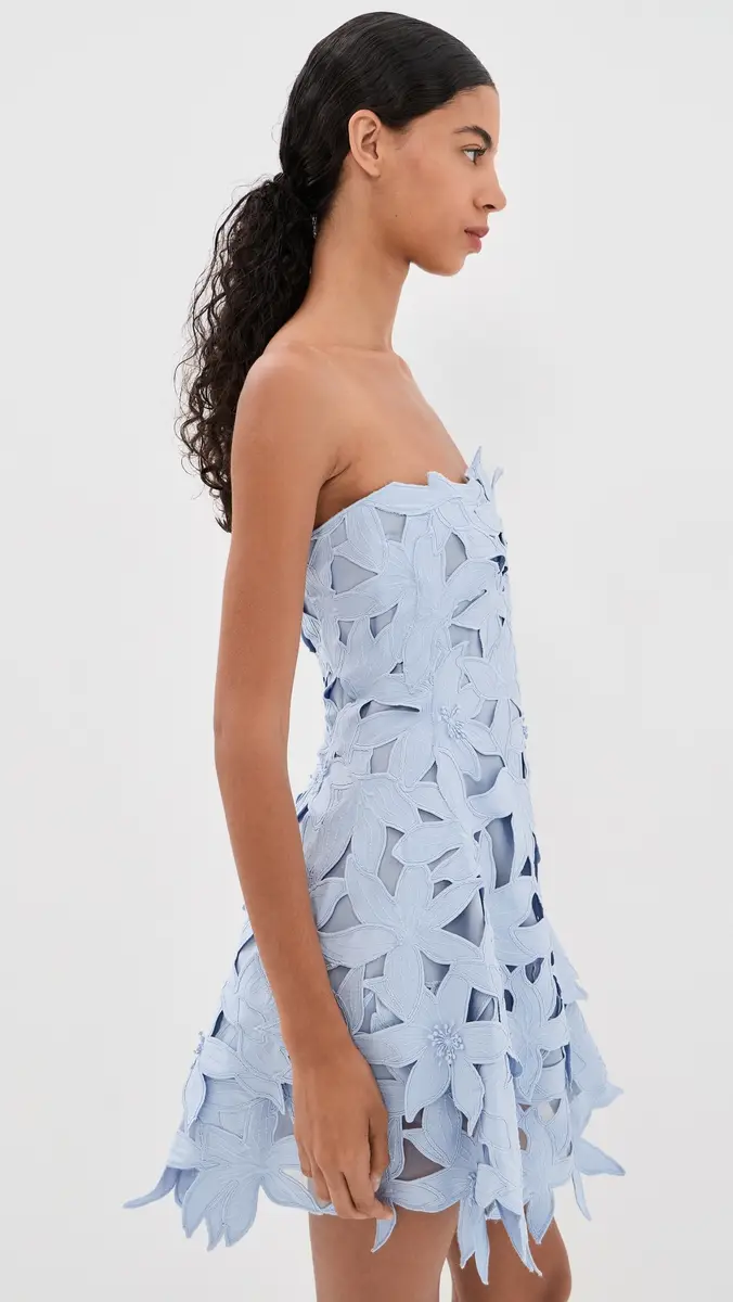 Simkhai Miri Bustier Mini Dress | Thumbnail 4 Simkhai Miri Bustier Mini Dress | Thumbnail 4
