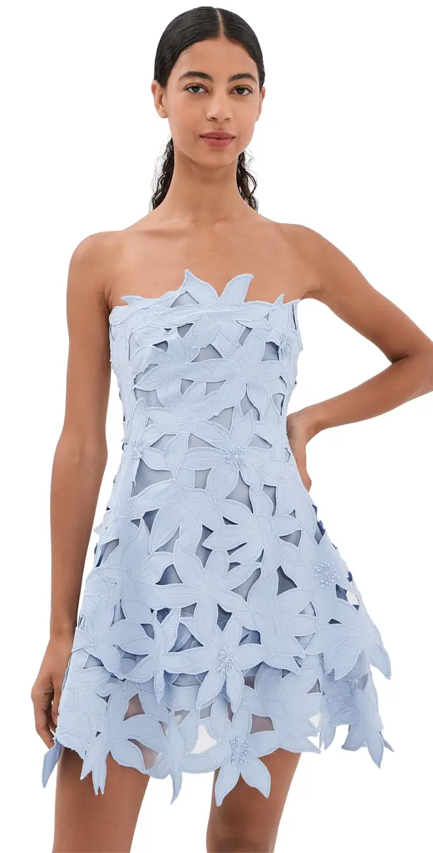 Miri Bustier Mini Dress