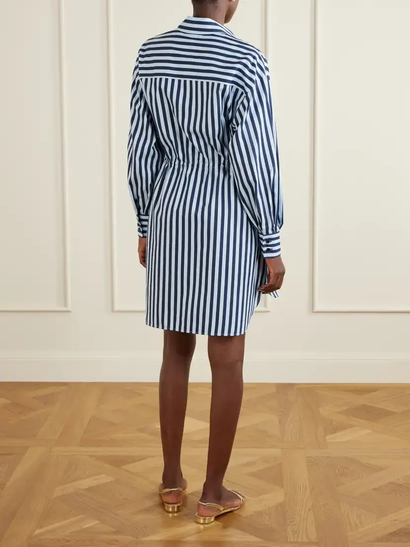 Carolina Herrera Striped Cotton-blend Poplin Mini Dress | Thumbnail 3