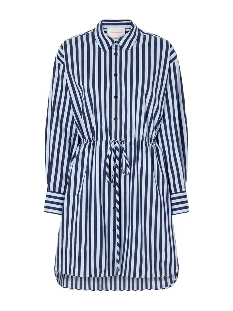Carolina Herrera Striped Cotton-blend Poplin Mini Dress