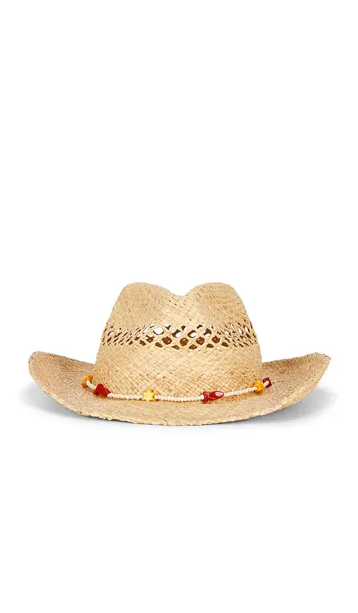 The Desert Cowboy The Desert Cowboy