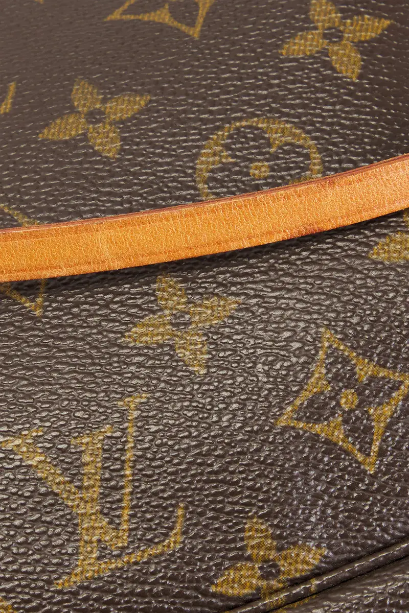 Louis Vuitton Monogram Pochette Accessoires Shoulder Bag | Thumbnail 7