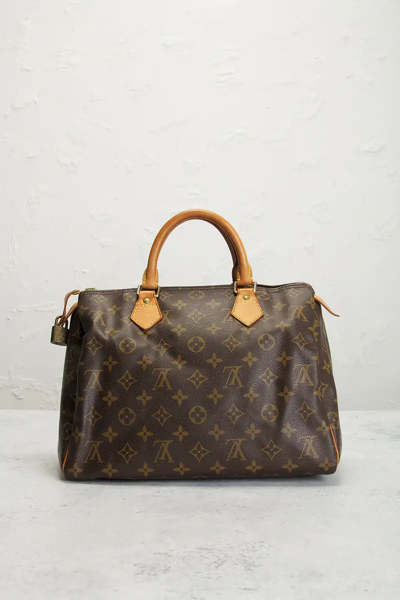Louis Vuitton Monogram Speedy 30 Handbag | Thumbnail 3