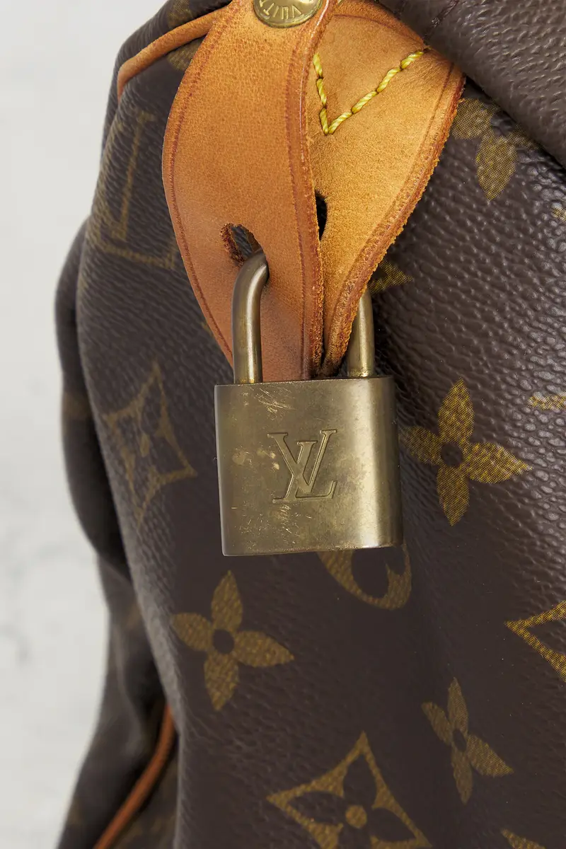Louis Vuitton Monogram Speedy 30 Handbag | Thumbnail 5