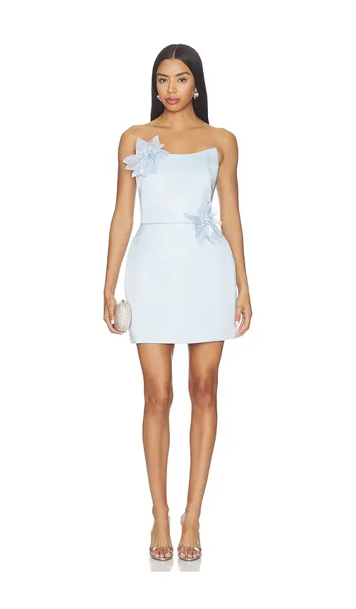 Nadine Merabi Flower Trim Mini Dress | Image 1 Nadine Merabi Flower Trim Mini Dress | Image 1