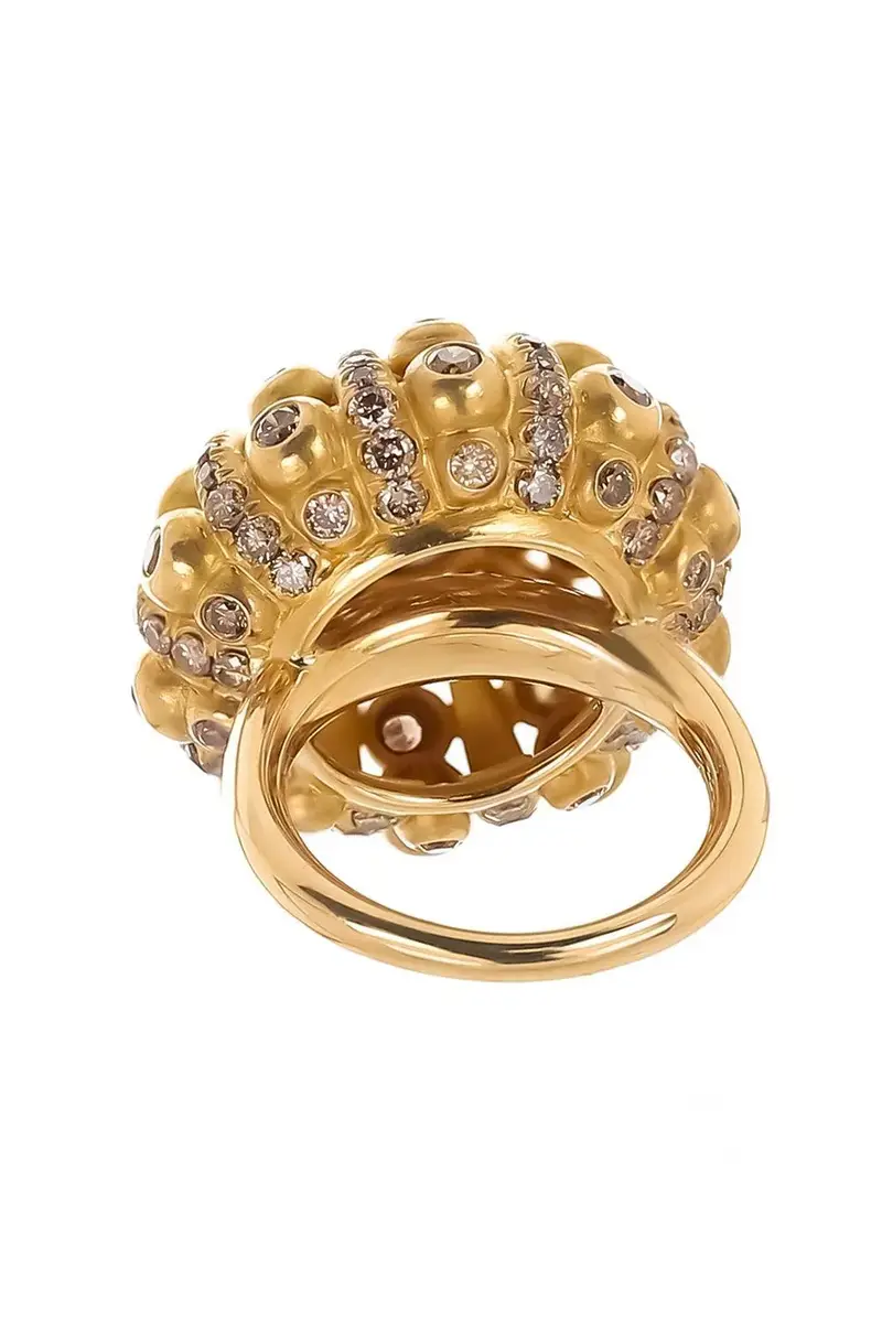 CICADA Brown Diamond Dome Ring | Thumbnail 5