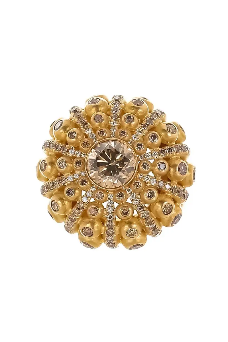 CICADA Brown Diamond Dome Ring | Thumbnail 6