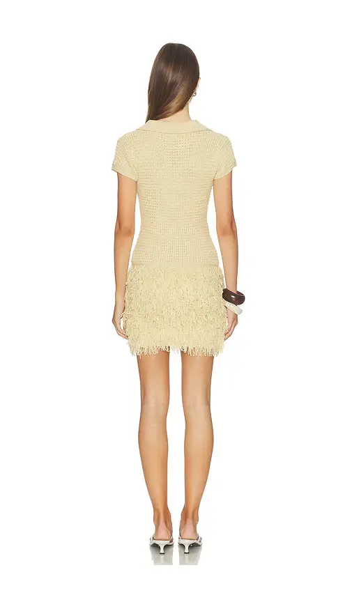 superdown Meradeth Crochet Fringe Mini Dress | Thumbnail 3