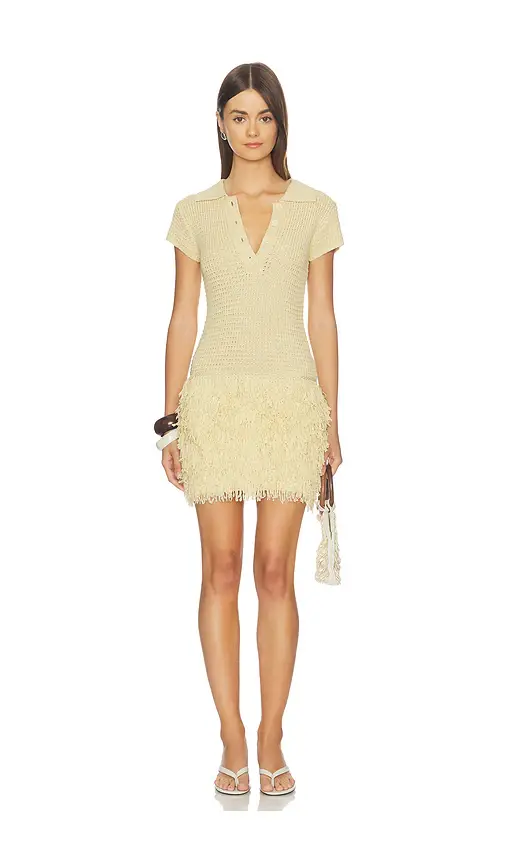 Meradeth Crochet Fringe Mini Dress