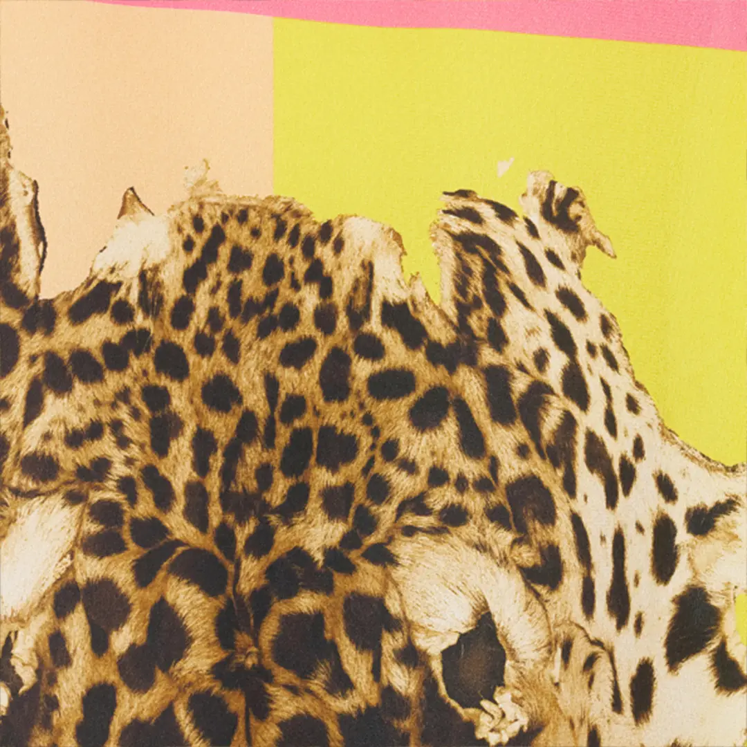 Roberto Cavalli Silk Kaftan with Cavalli Pop Print | Thumbnail 4