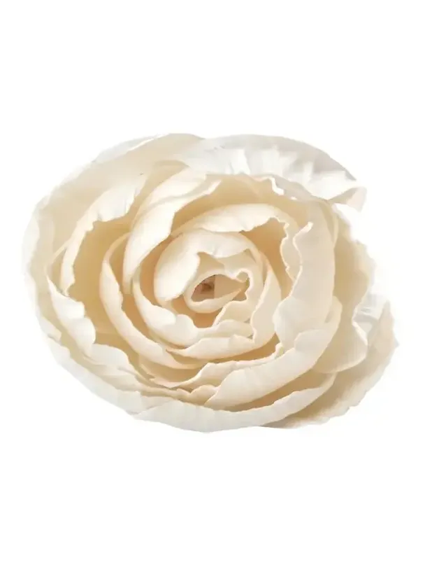 Agraria Peony Diffuser Flowers