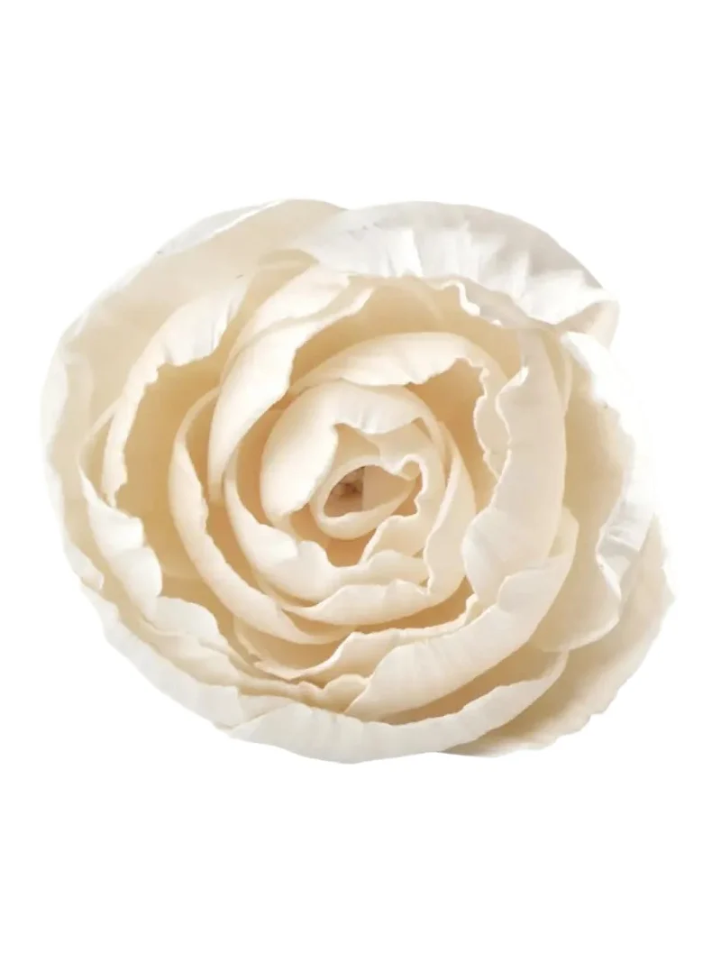 Agraria Peony Diffuser Flowers