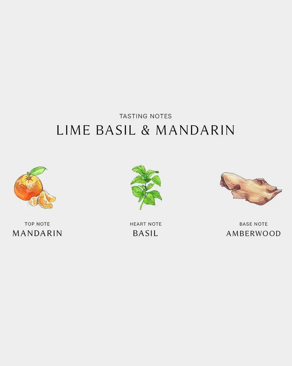 Jo Malone London Lime Basil & Mandarin Reed Diffuser, 5.6 oz. | Thumbnail 3
