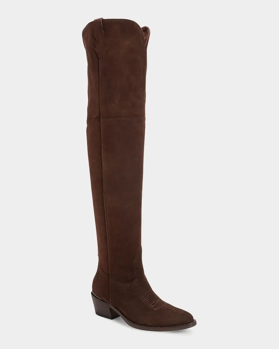 Partlow Julia 55MM Suede Over-The-Knee Boots | Thumbnail 2