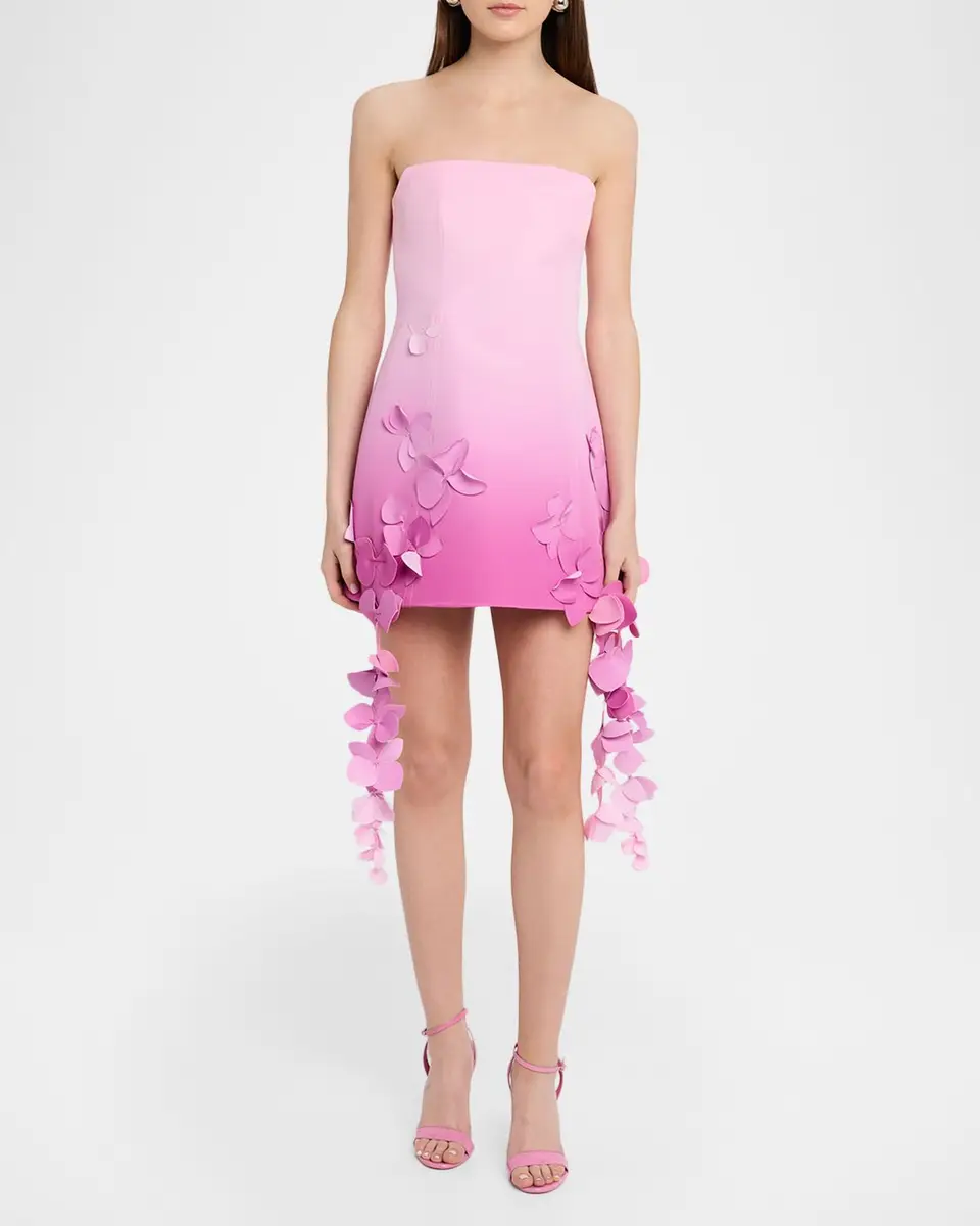 ACLER Forever Young Sandia Ombré Strapless Mini Dress | Thumbnail 2