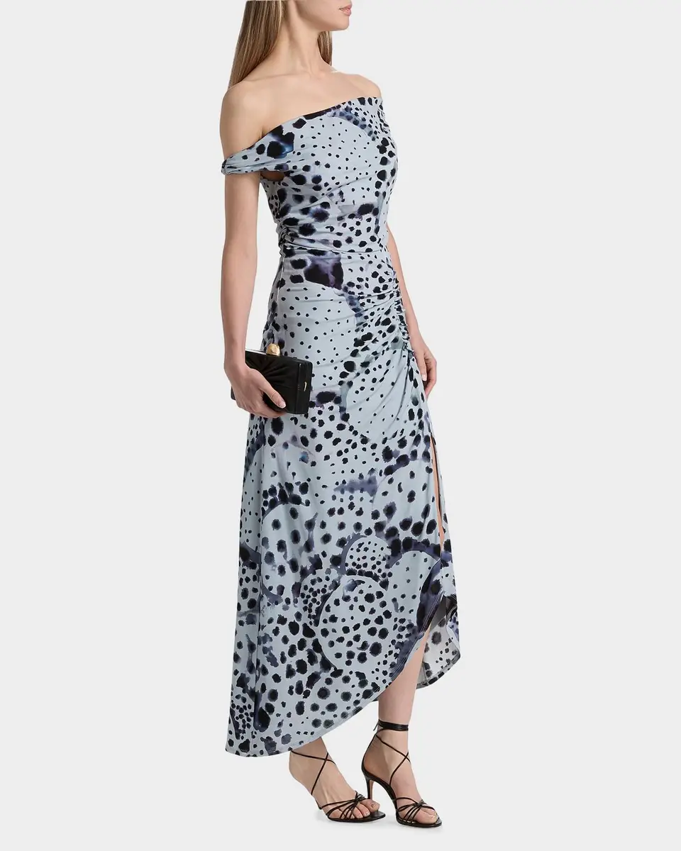 Amur Ella Pearl Ray Print Midi Dress | Thumbnail 6 Amur Ella Pearl Ray Print Midi Dress | Thumbnail 6